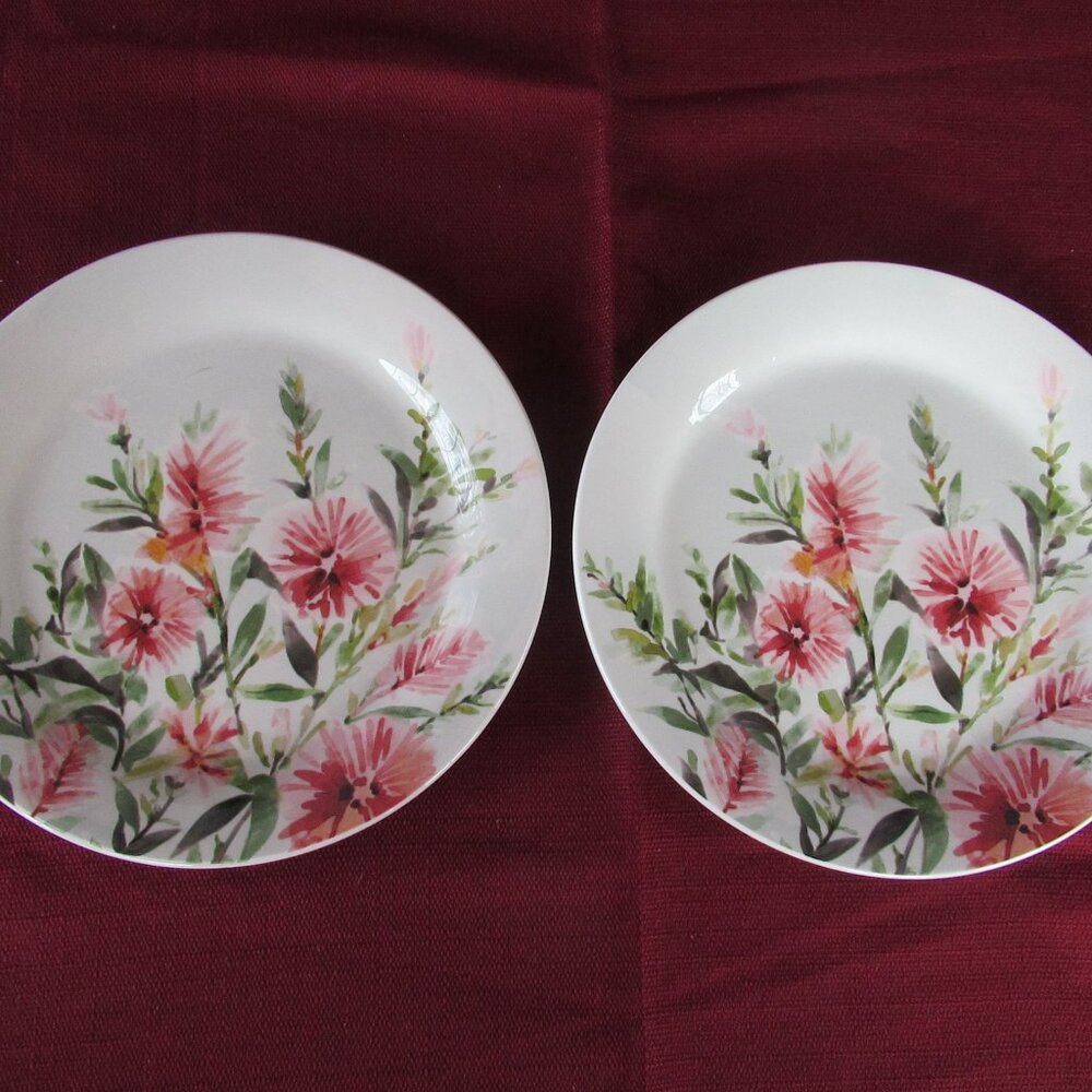 BICO Pink Dandelion set of 2 luncheon plates 8-3/4"